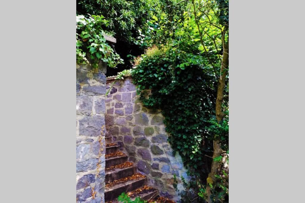 La Belle Vigne Apartment Namur Bagian luar foto
